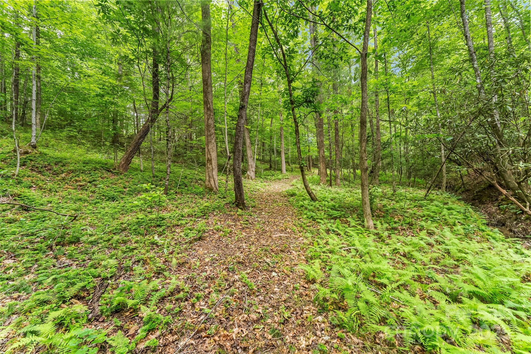 4090 Pea Ridge Road