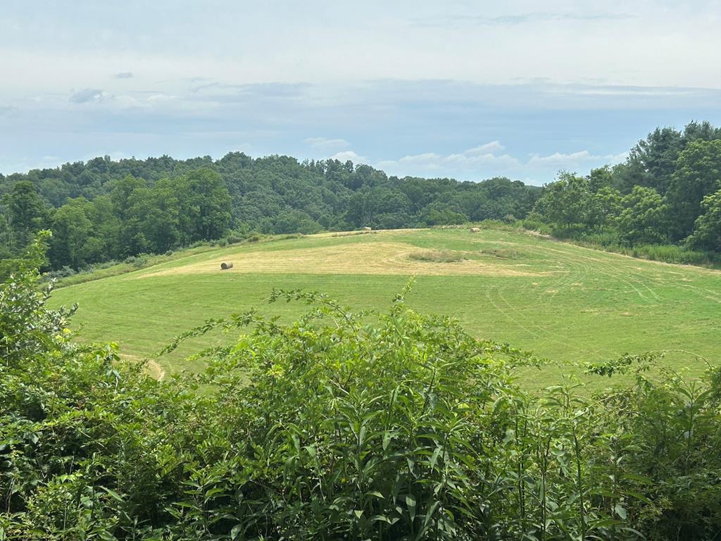 29.31 acres that you can drive all over.  This farm not only has beautiful land and 360 degree views, it has 2 ponds.  On the property you will find 3 homes including 2 singlewides and 1 doublewide.  There is also a large barn and a garage/workshop.  This property has 2 existing wells and 3 septics.  This scenic property offers plenty of room to build, farm, or create your dream retreat. Property is already divided into 5 tracts offering flexibility for family use, resale, or investment opportunities.