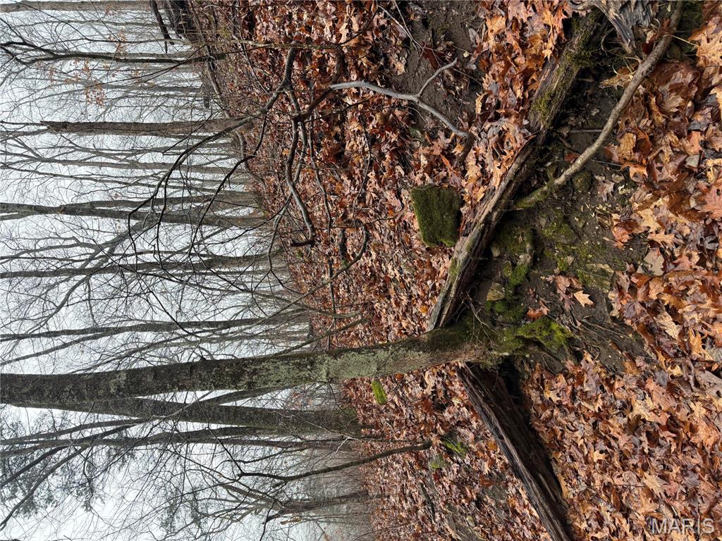 0 Peninsula Trail