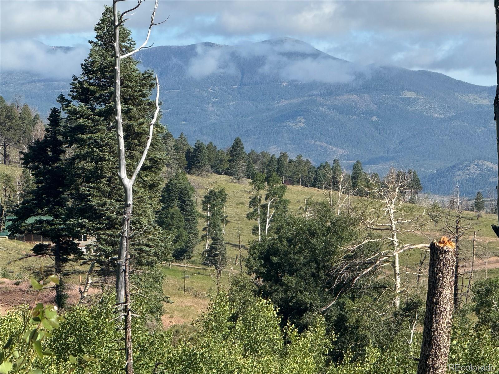 Lot 775 Forbes Park Road