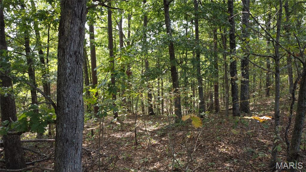 10255 Squaw Creek Rd