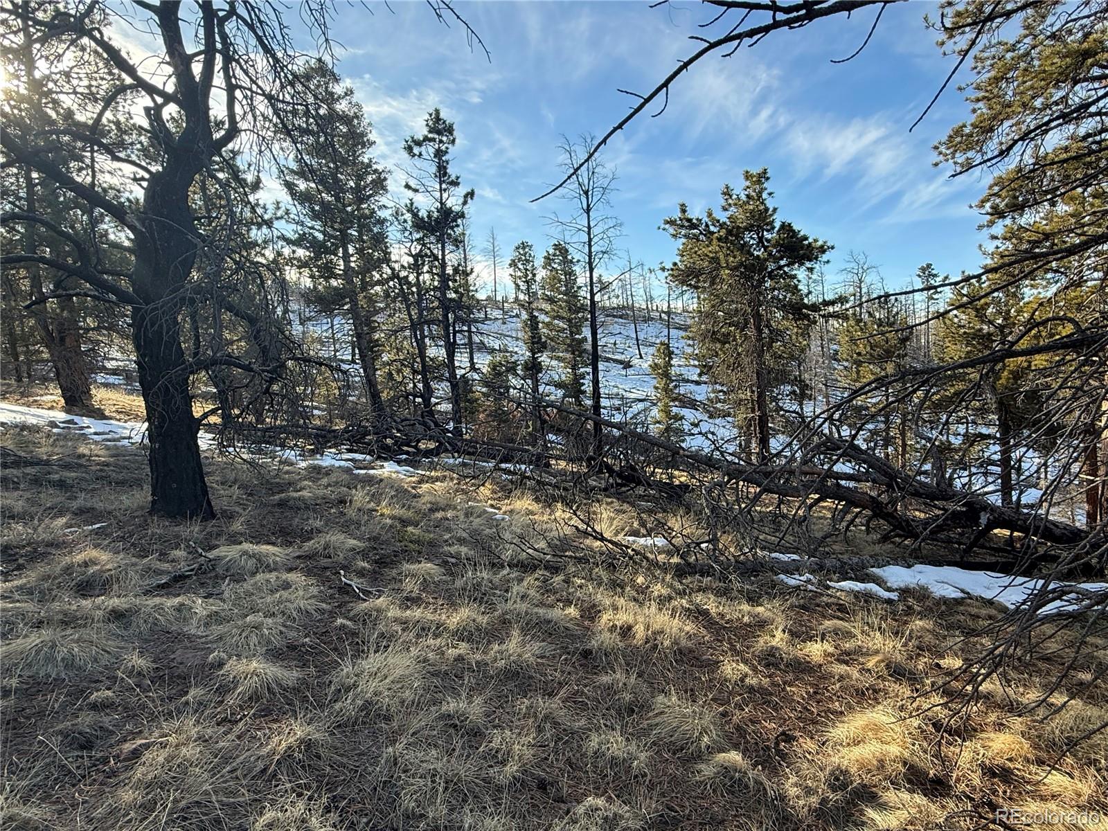 Lot 356 Spangle Drive
