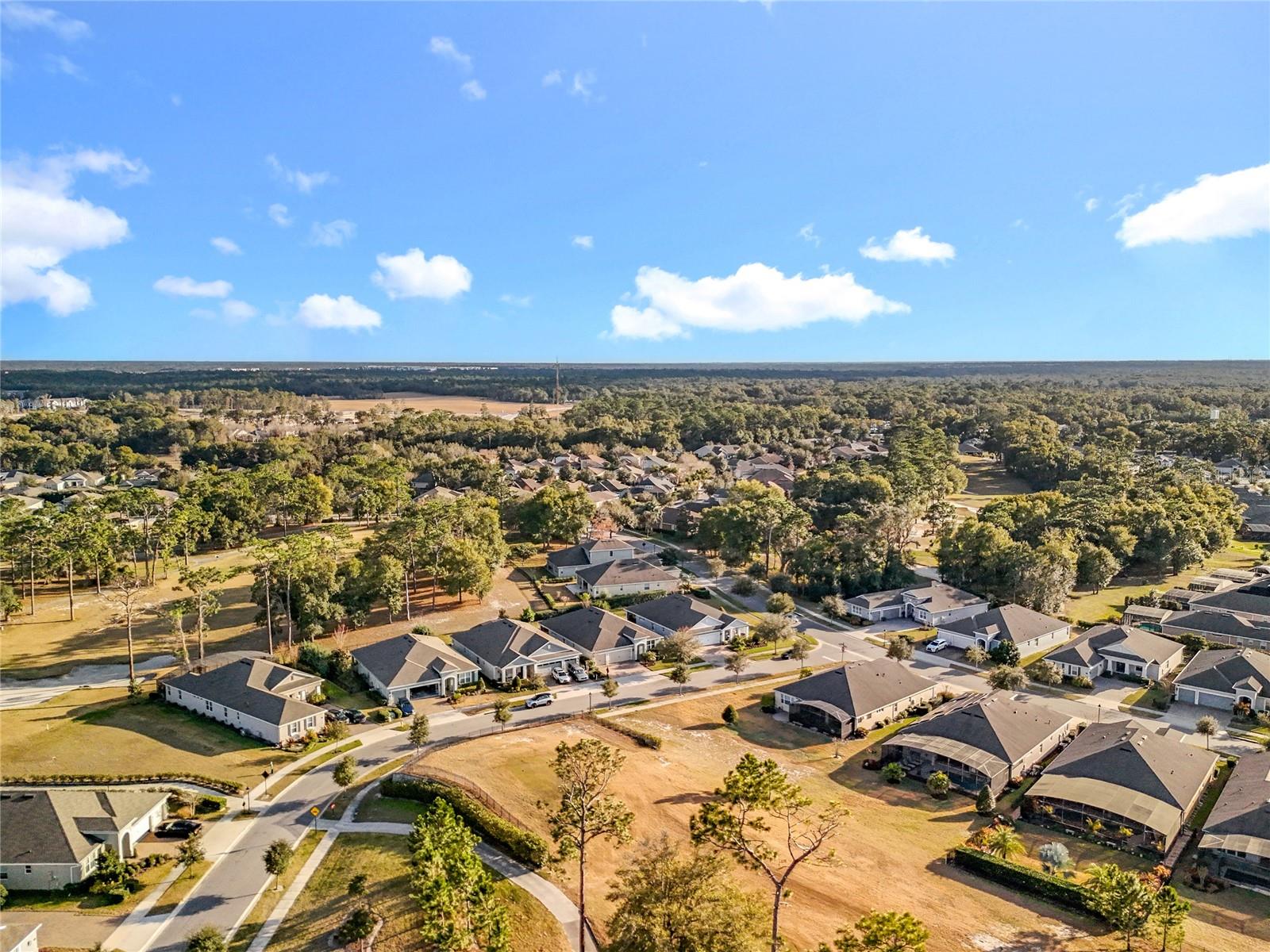 295 Northcote Court