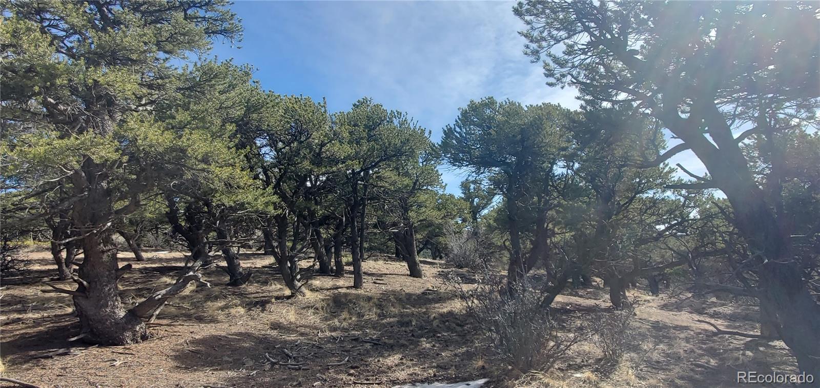 Lot 7274 Barker Road