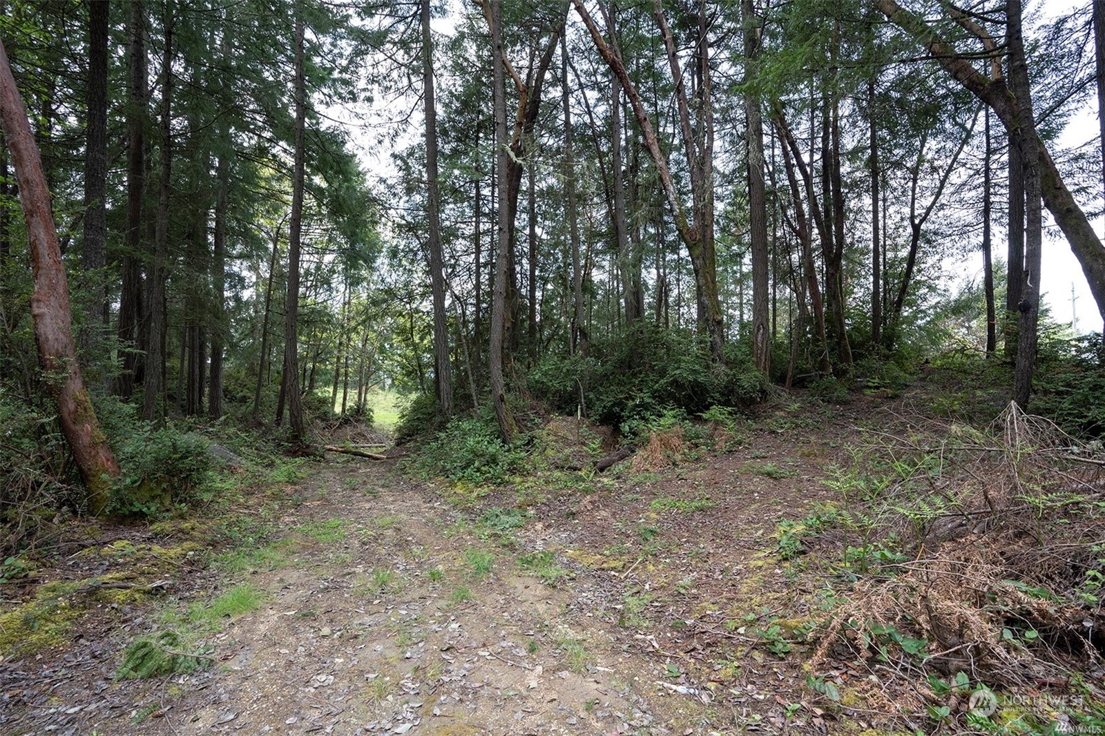 0 Canterwood Boulevard