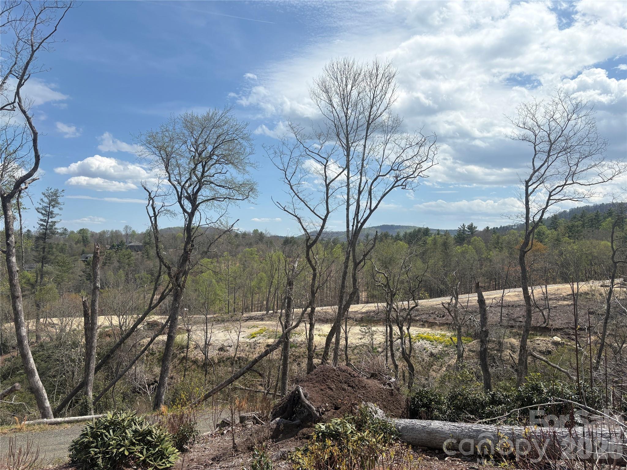 TBD Swiss Pine Lake Drive 117