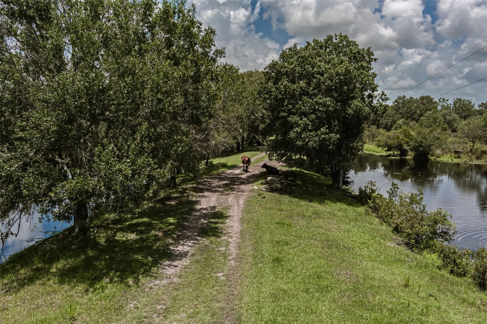 43355 Clay Gully Road