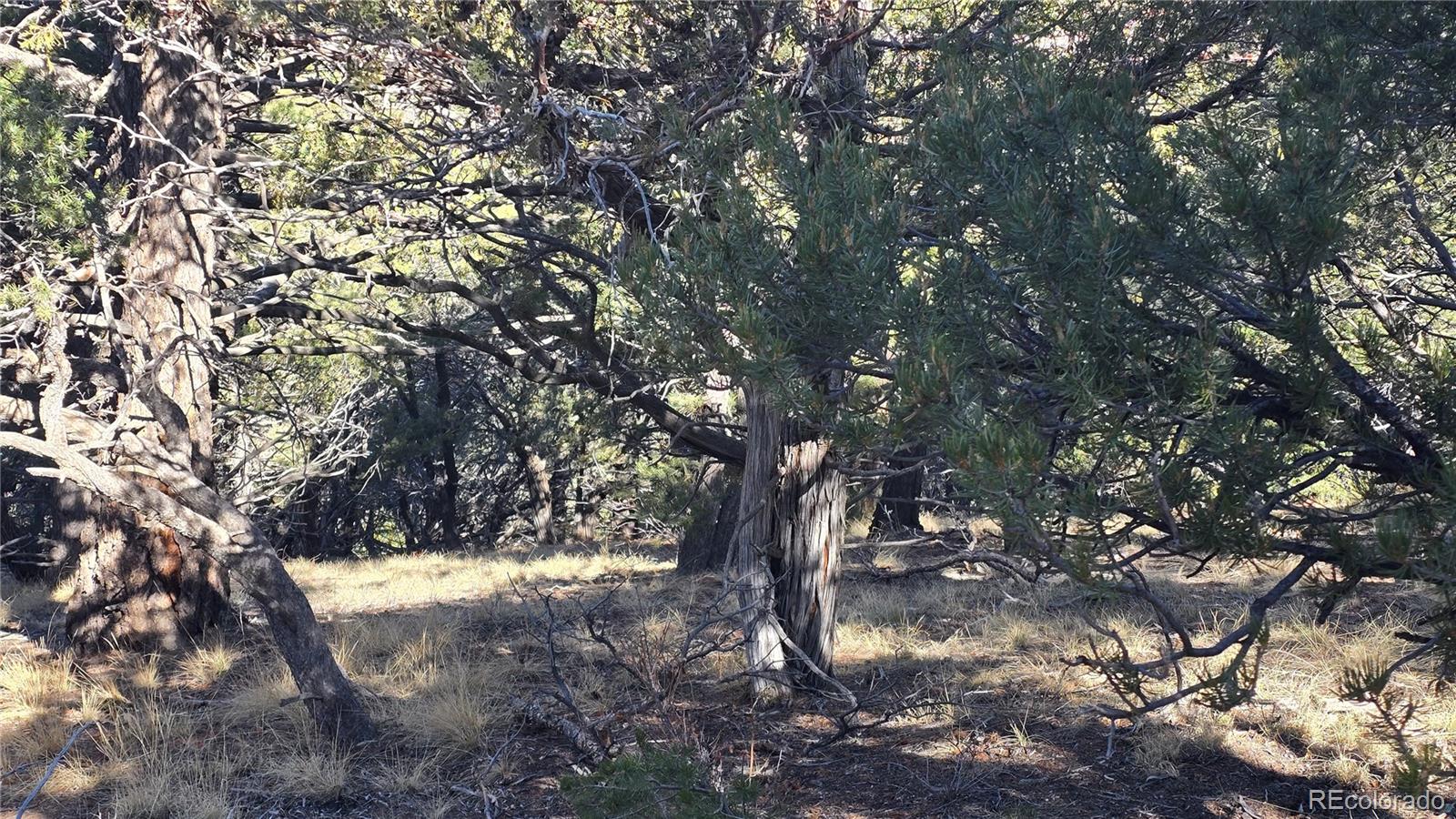 Lot 4510 Iannelli Road