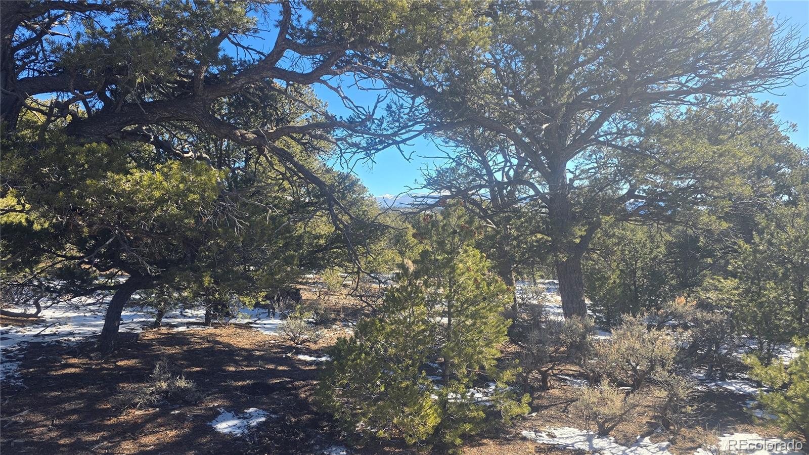 Lot 6 Elk Park Road
