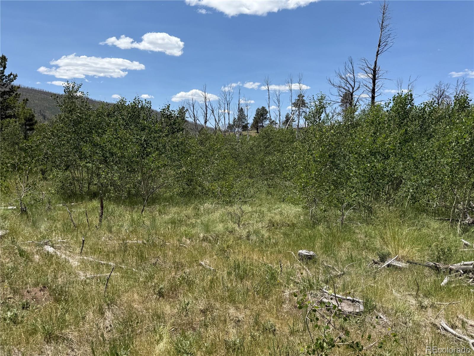 Lot 1103 Emery Loop