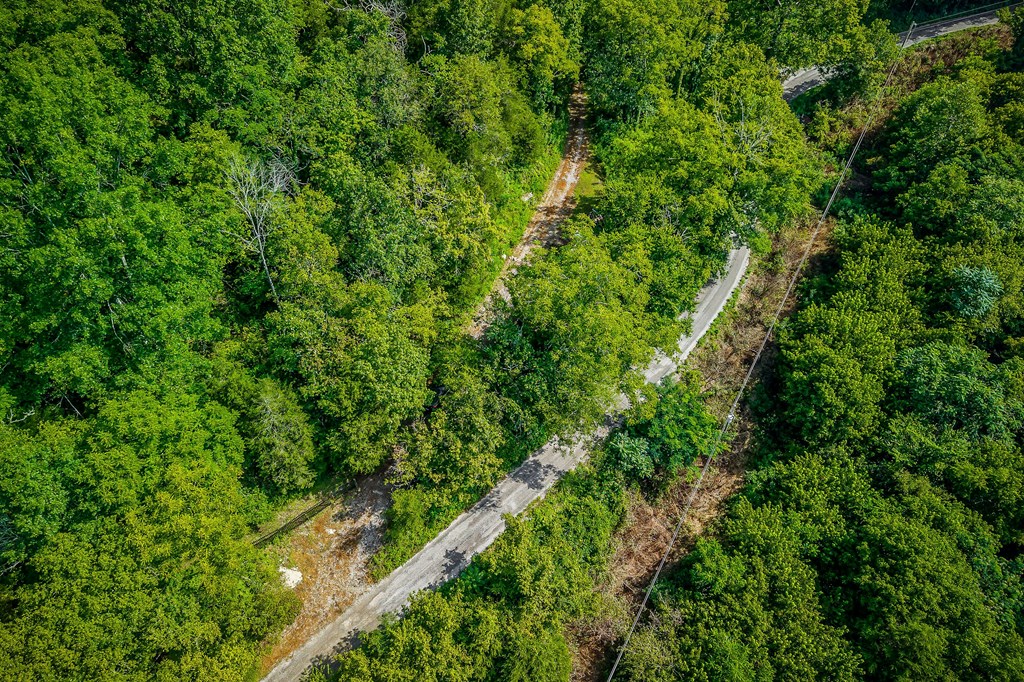 392 Possum Hollow Rd