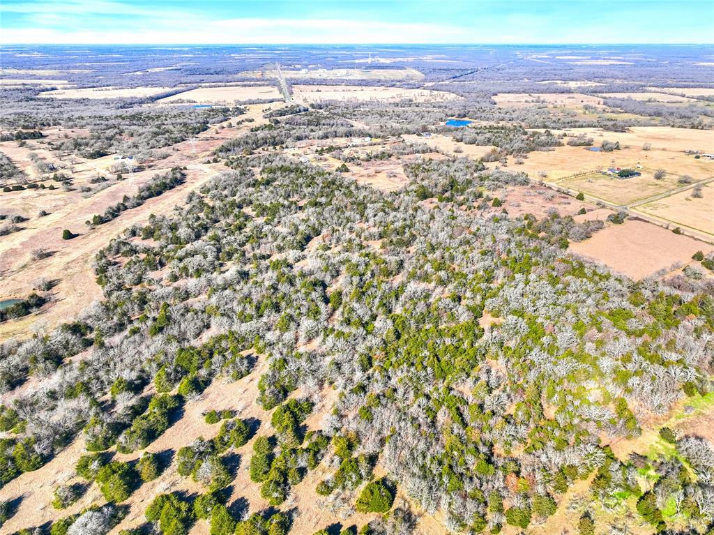 Seller Finance is available. This 35+ acre tract of land, ideally situated just 10 minutes south of Wortham and a mere 20 minutes from Corsicana offers the ultimate blend of convenience yet is close to several stunning lakes and the city!  It is one of several that are currently available. With no deed restrictions, a new 4-inch water line and water tap fees have been paid, saving you thousands, the possibilities are endless—whether you're envisioning a large homestead, a weekend retreat, or an investment opportunity. The lush, green landscape is a blank canvas awaiting your vision. The mature trees provide a picturesque backdrop, while the open spaces offer ample room for building, farming, or recreational activities. Enjoy the peace of rural living without sacrificing accessibility to nearby towns and amenities. Photos are of the entire property.