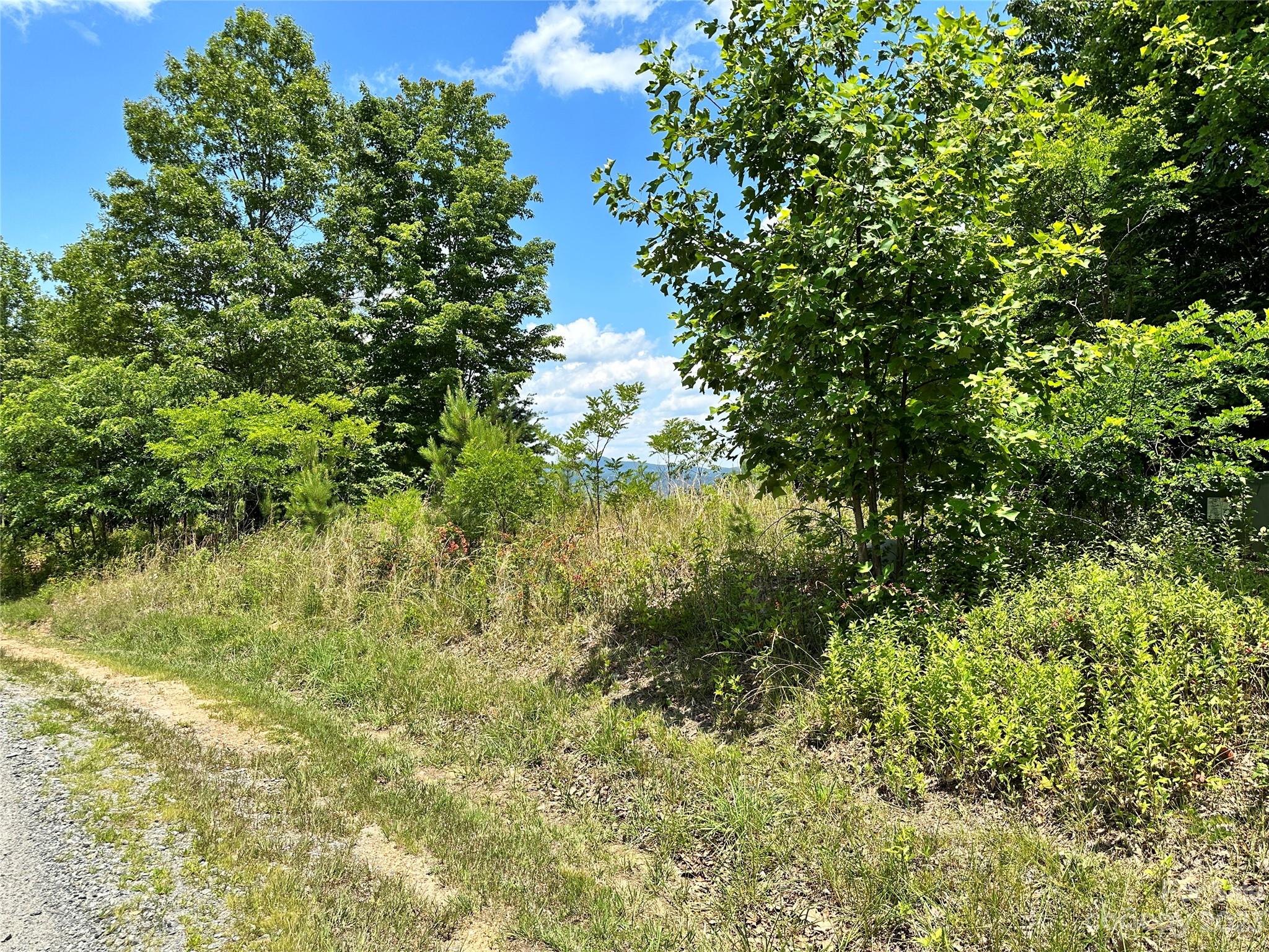 583 Grandview Peaks Drive 22