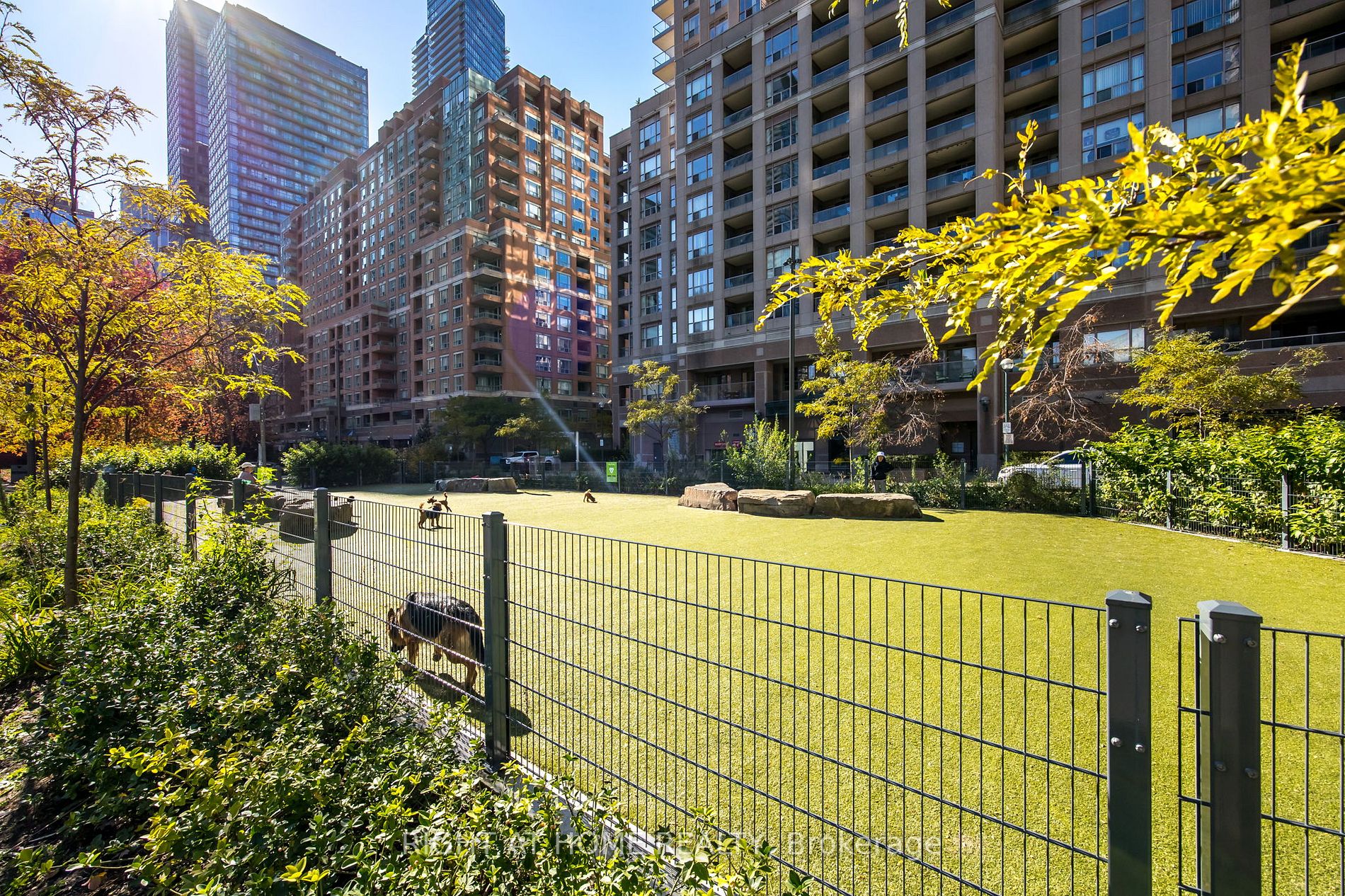 11 W Wellesley St 1909