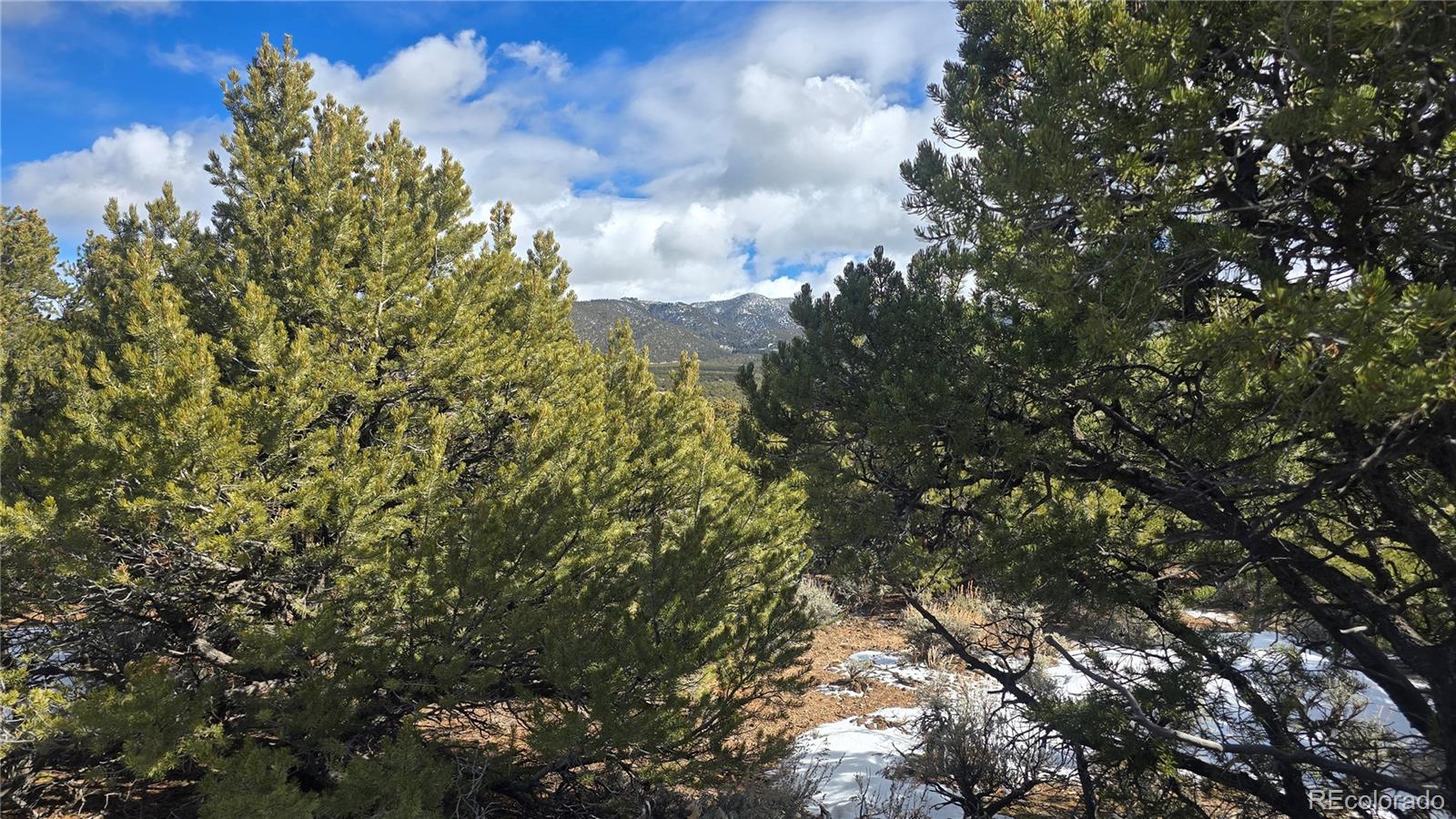 Lot 421 Sabine Road