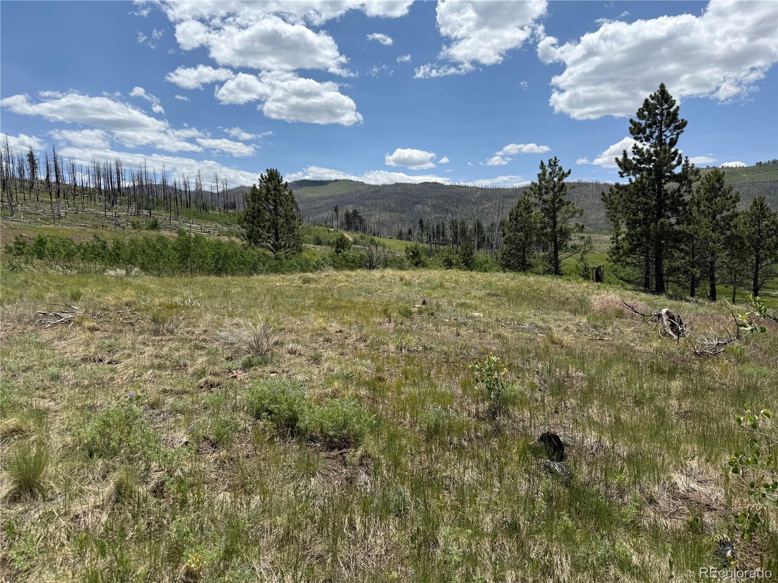 Lot 1103 Emery Loop