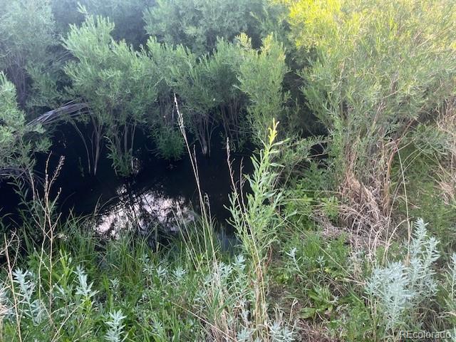 Lot 2950 Motley Road