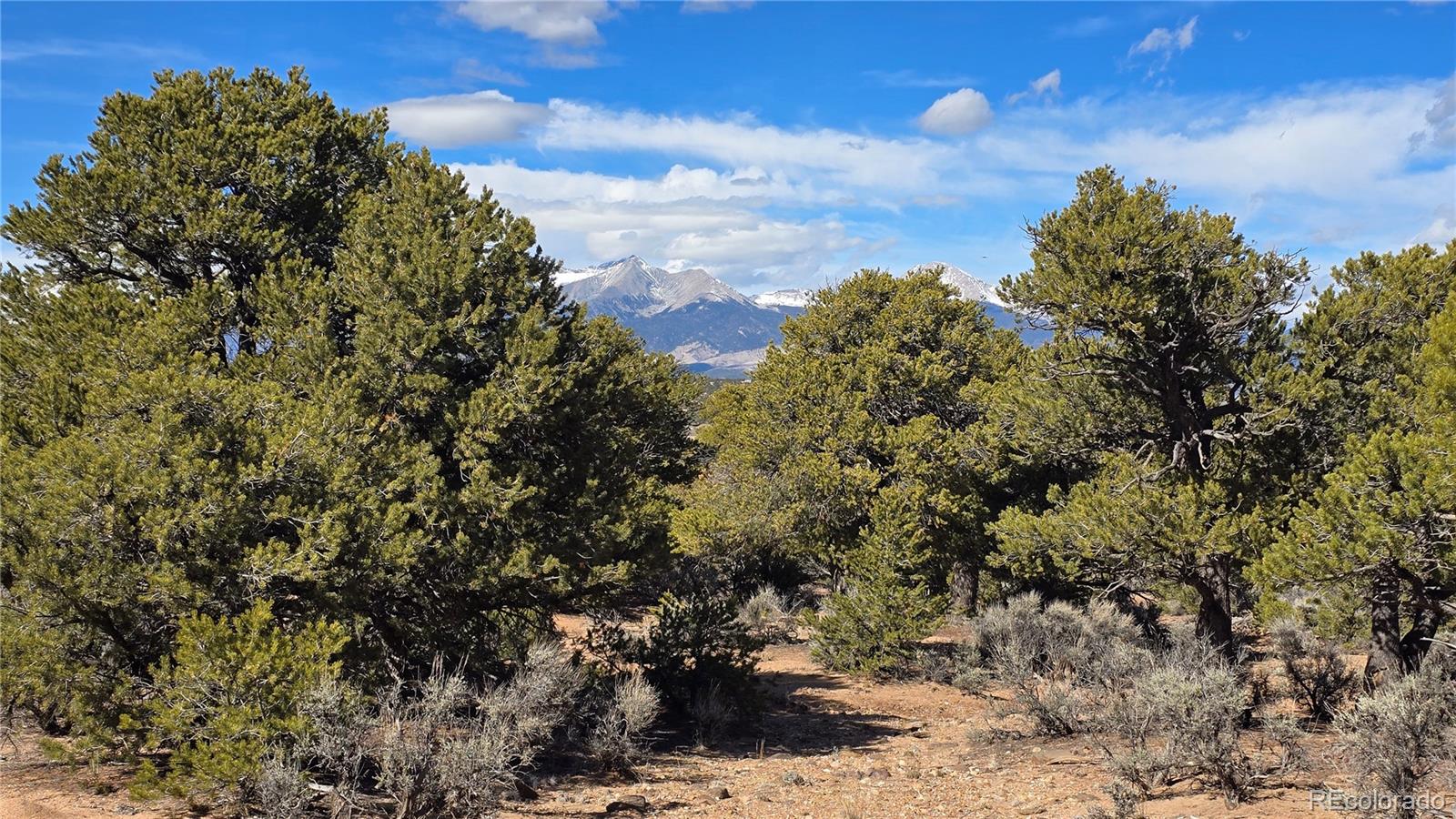 Lot 409 Williams Road