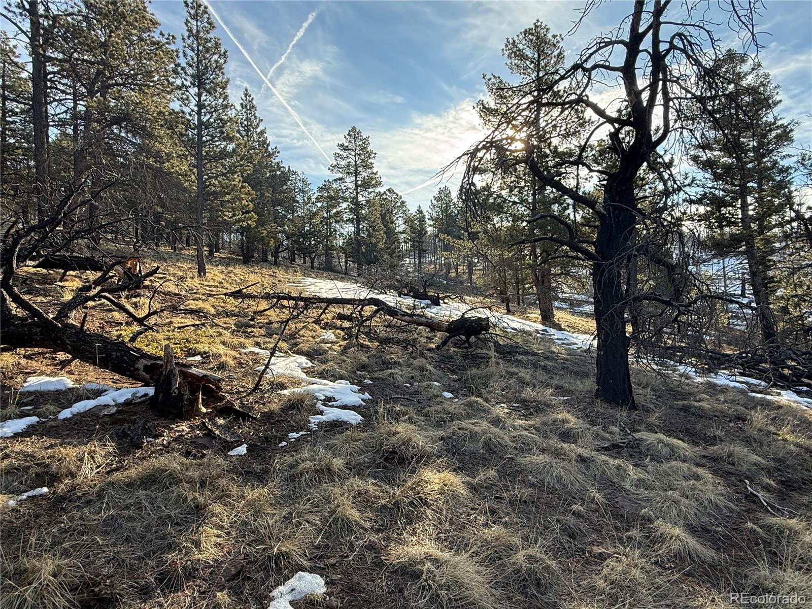 Lot 356 Spangle Drive