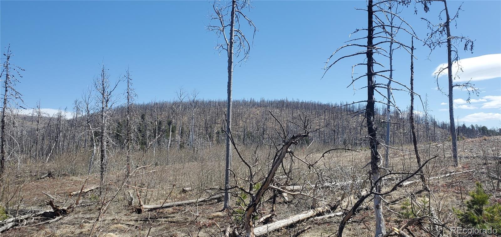 Lot 1667 Towey Place