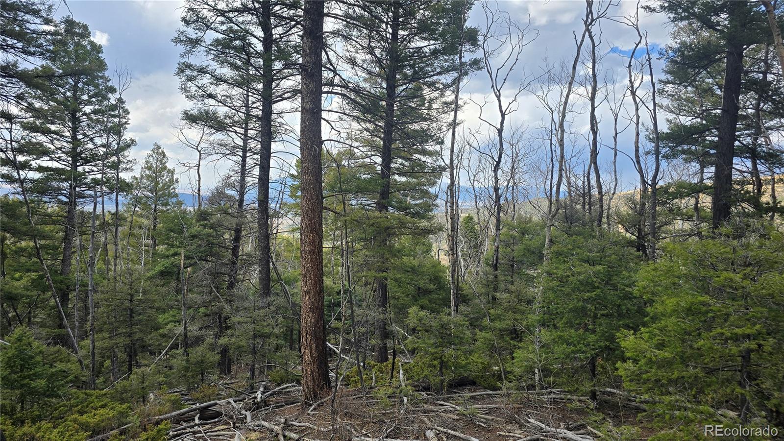 Lot 5261 Scott Road
