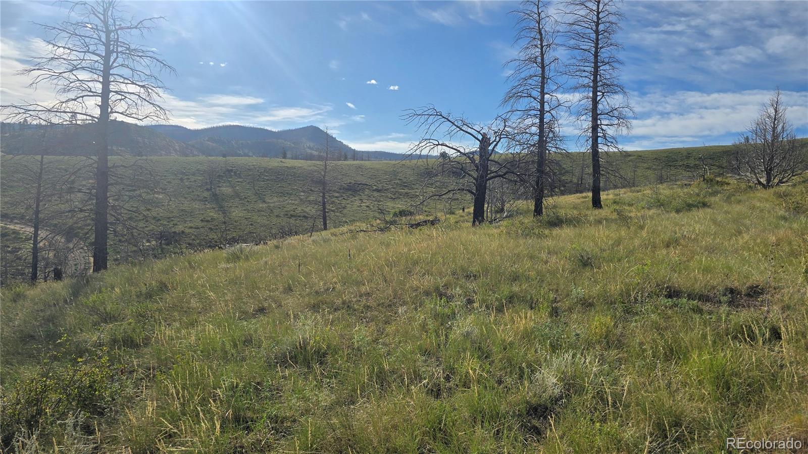 Lot 7719 Hallstein Road
