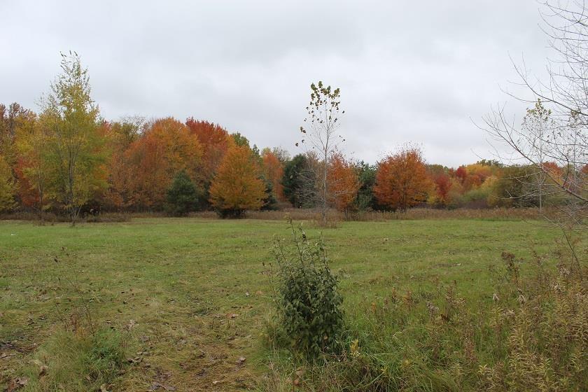 Large piece of land near the corner of Vienna and Linden, 1 parcel north on the west side. Two lots combined for 940 feet of frontage and a total of 13 acres.