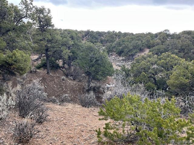 Lot 2087 Sandoval Road