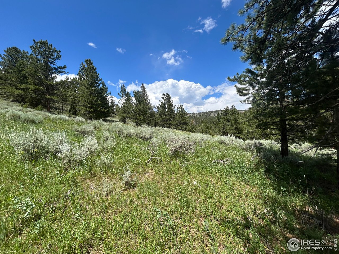 416 Comanche Cir