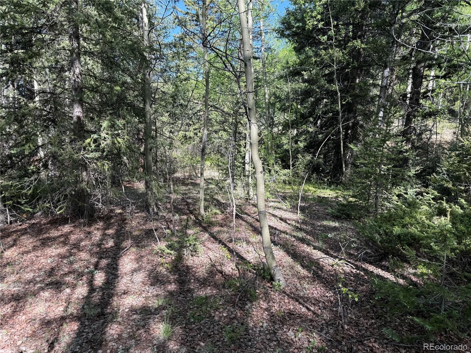 Lot 6843 Ryland Road