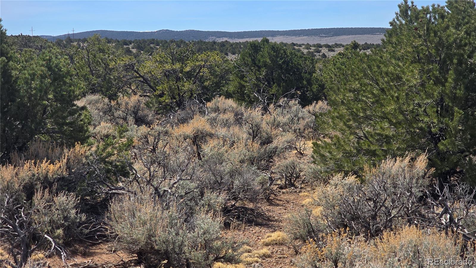 Lot 1248 Juarez Road