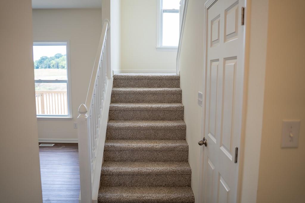 239 Lilly Lane