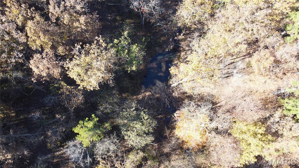 10256 Christina Trail