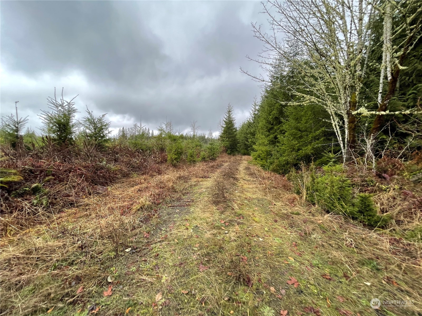 Over 65 acres located east of Chehalis and north of Onalaska! Build a home, recreate and watch your private tree farm grow! Level topography lends itself well towards a residential home site. Entire east border has frontage on a paved, county road with power and phone (Oppelt Road). Buffer of trees and gated entry for added privacy.  Residential development along the north side of property. Managed timber stands for future value. About 20 acres of 21 year old Douglas Fir. Another 20 acres in 7 and 11 year old plantations.  About 16 acres of 28-29 year old Alder.  Buyer to verify all information to own satisfaction.