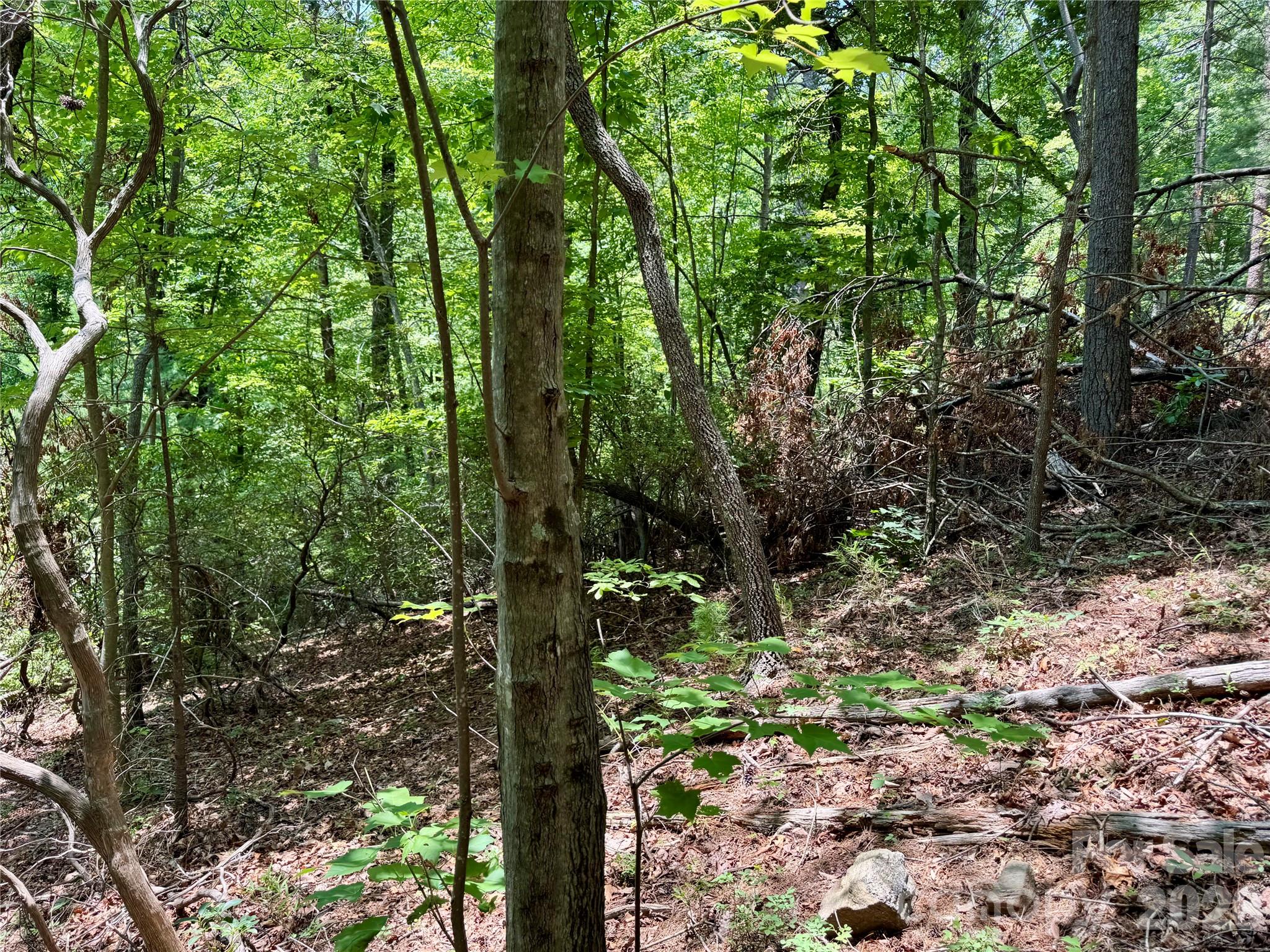 35+ acres - Lot 23 Bear Track Lane 23