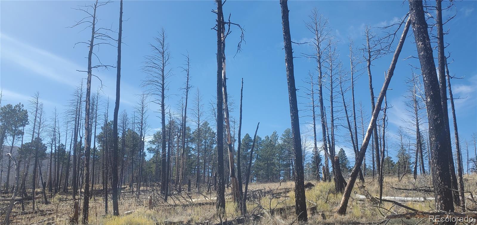 Lot 585 Leslie Loop