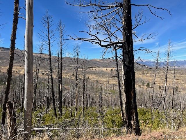 Lot 1741 Mathlide Place