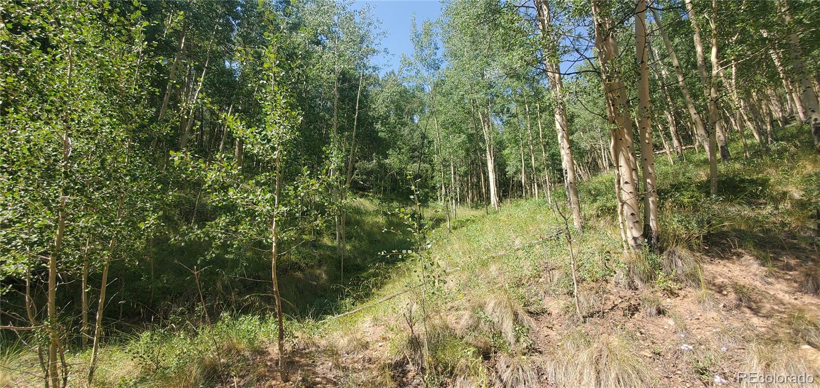 Lot 6882 Donna Road