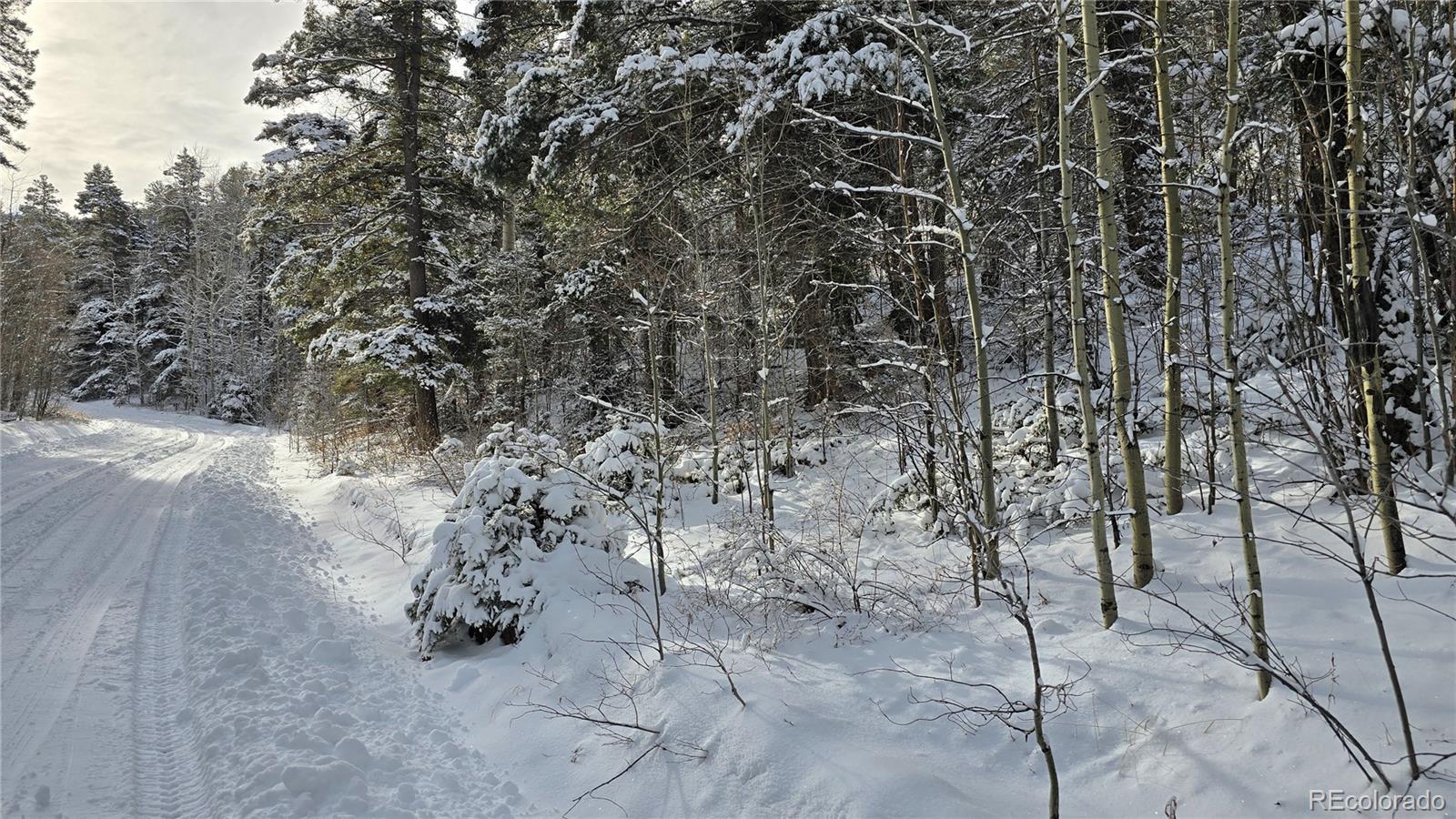 Lot 5540 Joy Road