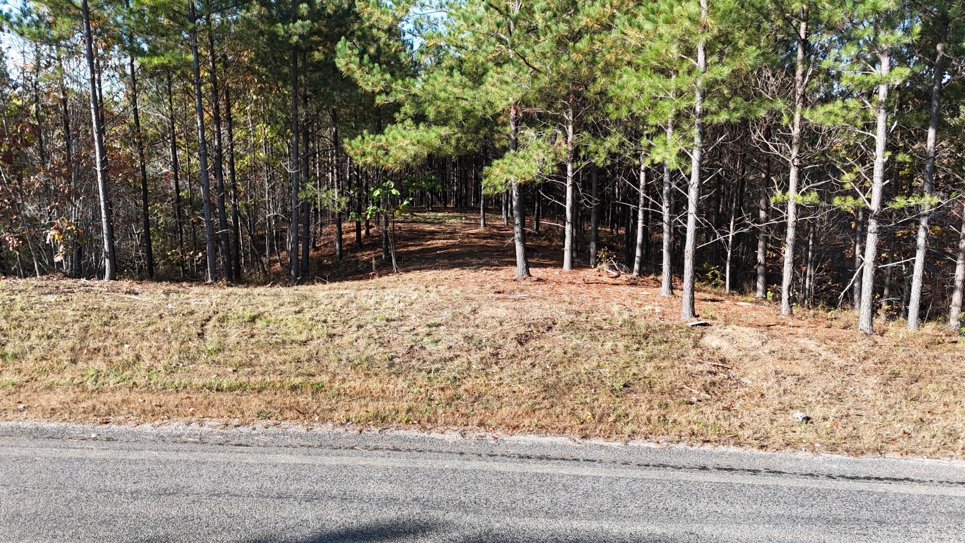 3020 Mcgee Rd