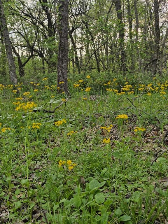 305 & 309 E Sugar Lake Drive