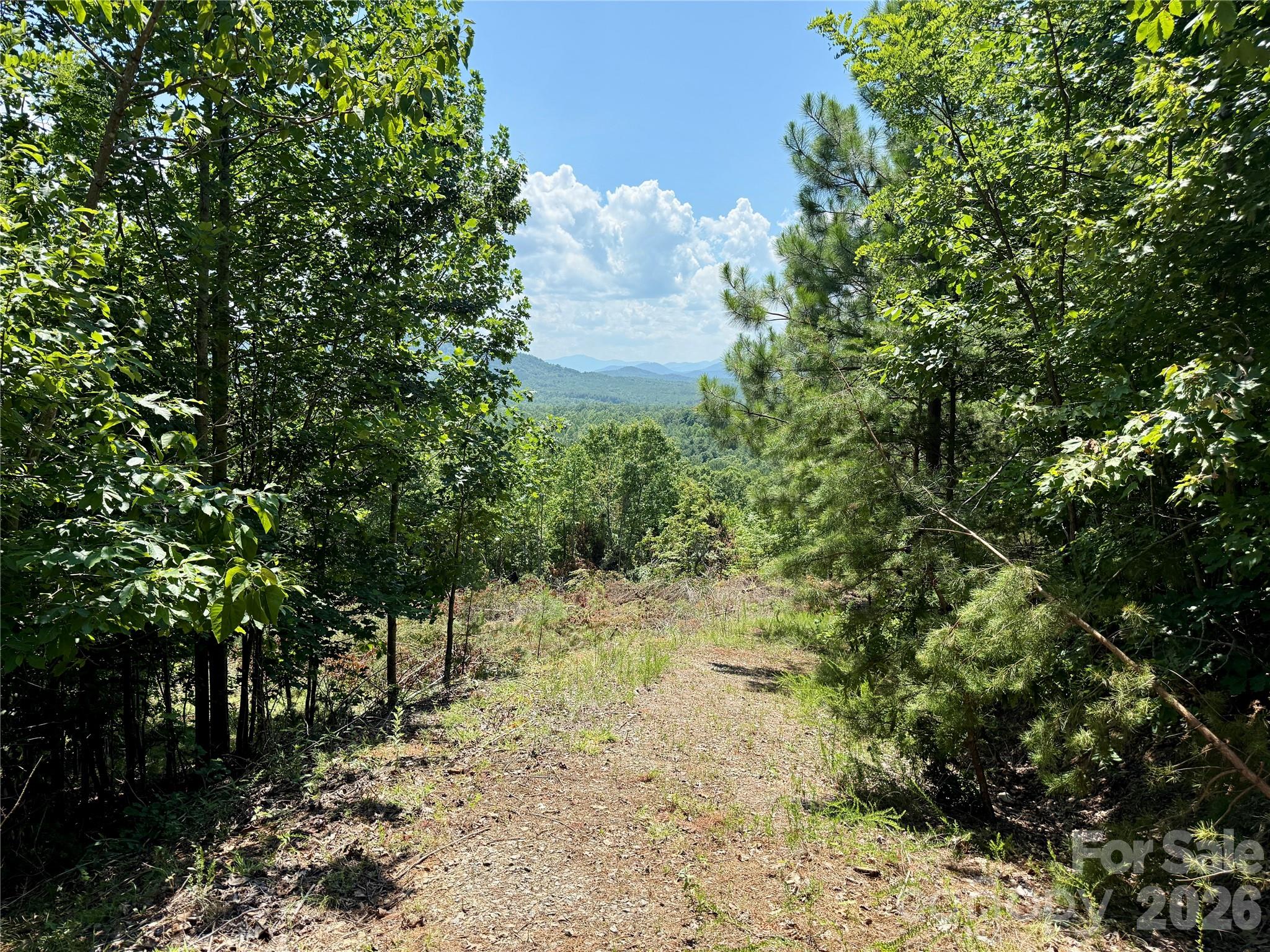 V/L Summit Trail 82