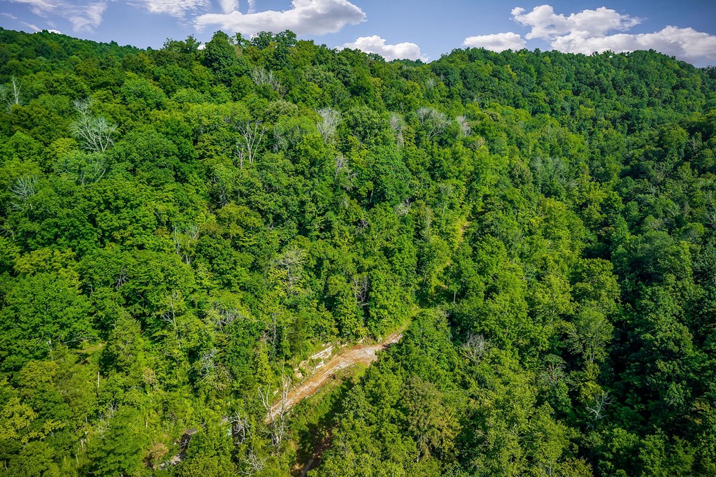 392 Possum Hollow Rd