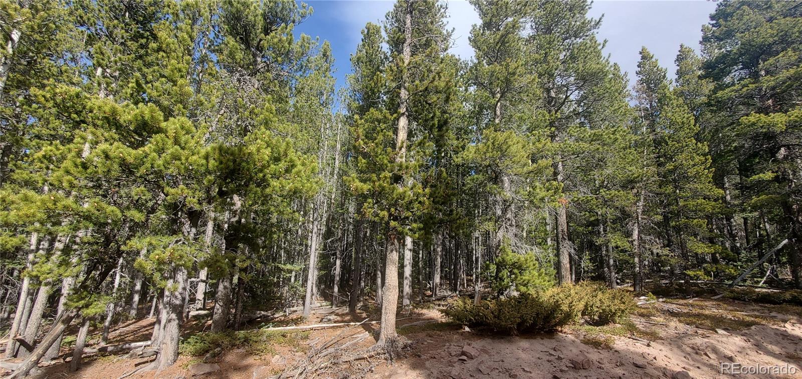 Lot 3246 Zipf Lane