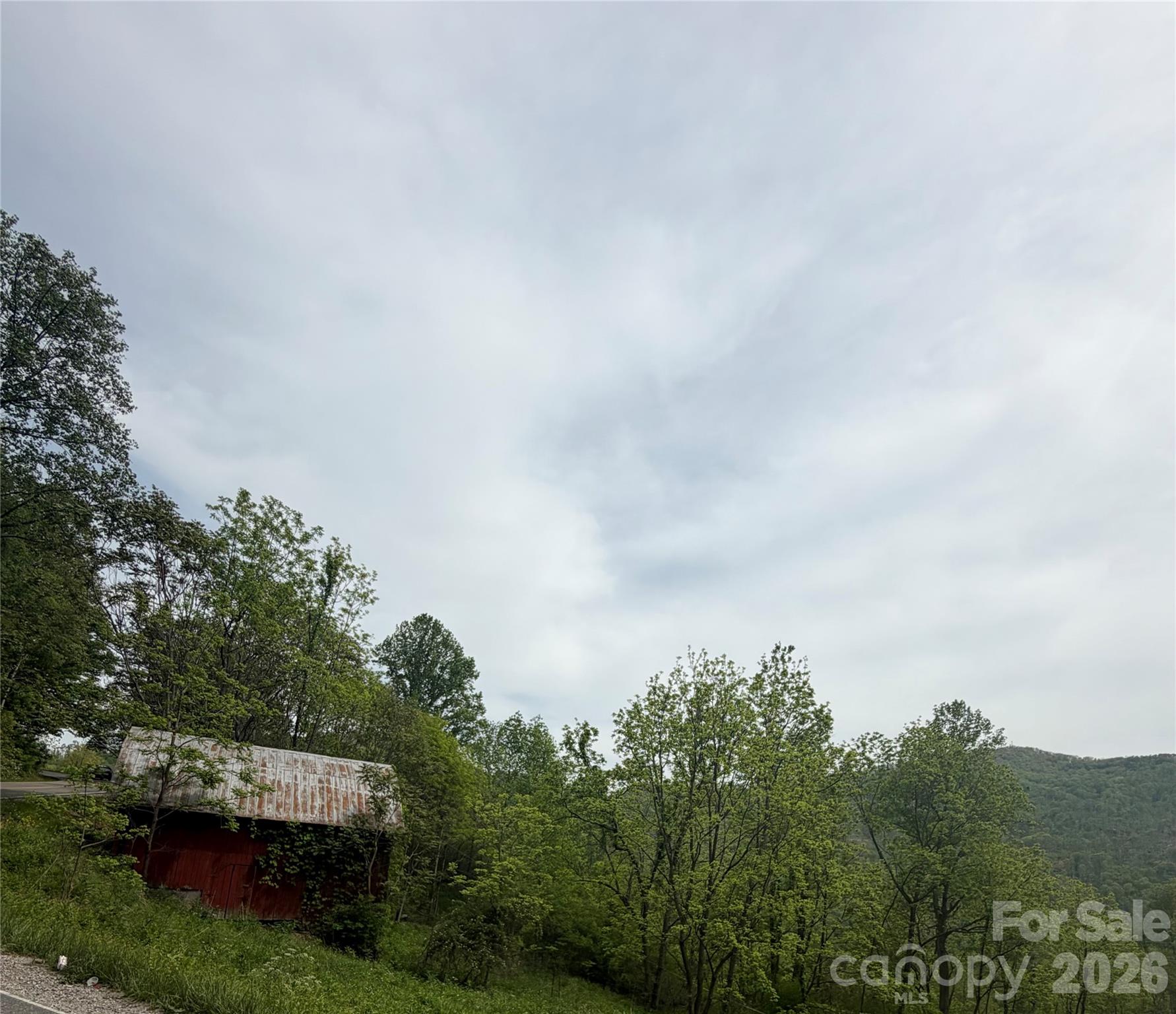 1306 Fork Mountain Road