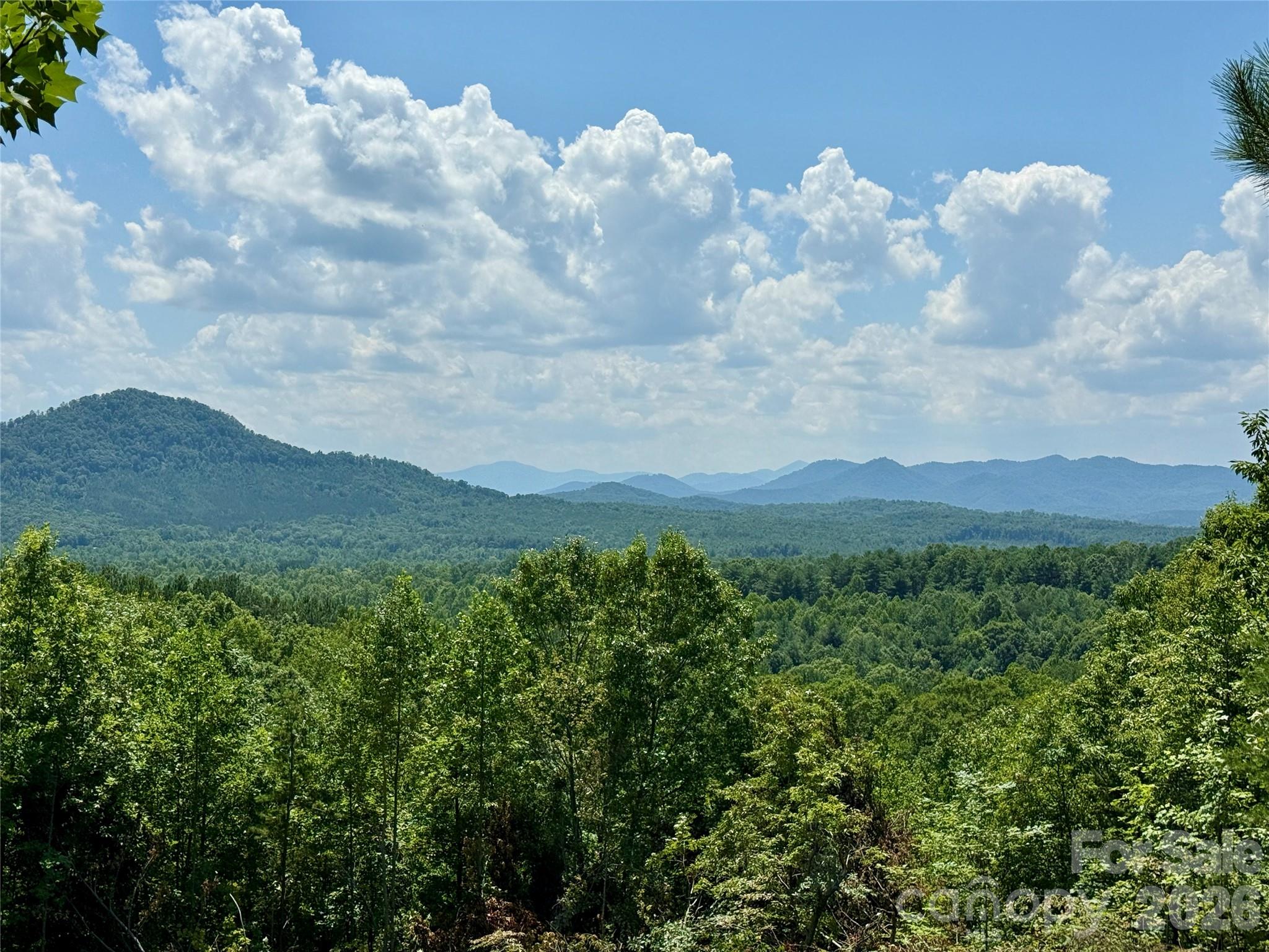 V/L Summit Trail 82