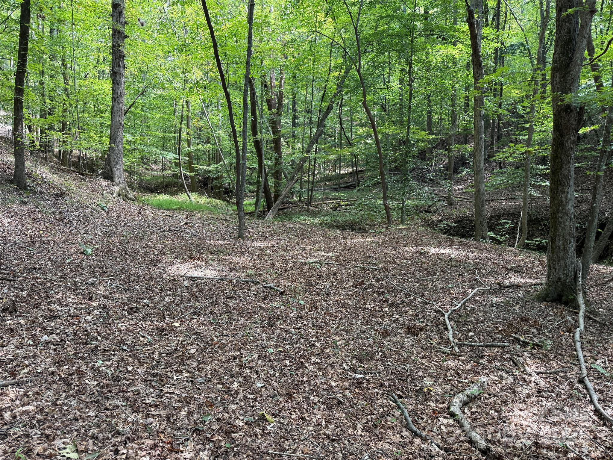 0 Mountain Brook Trail 298