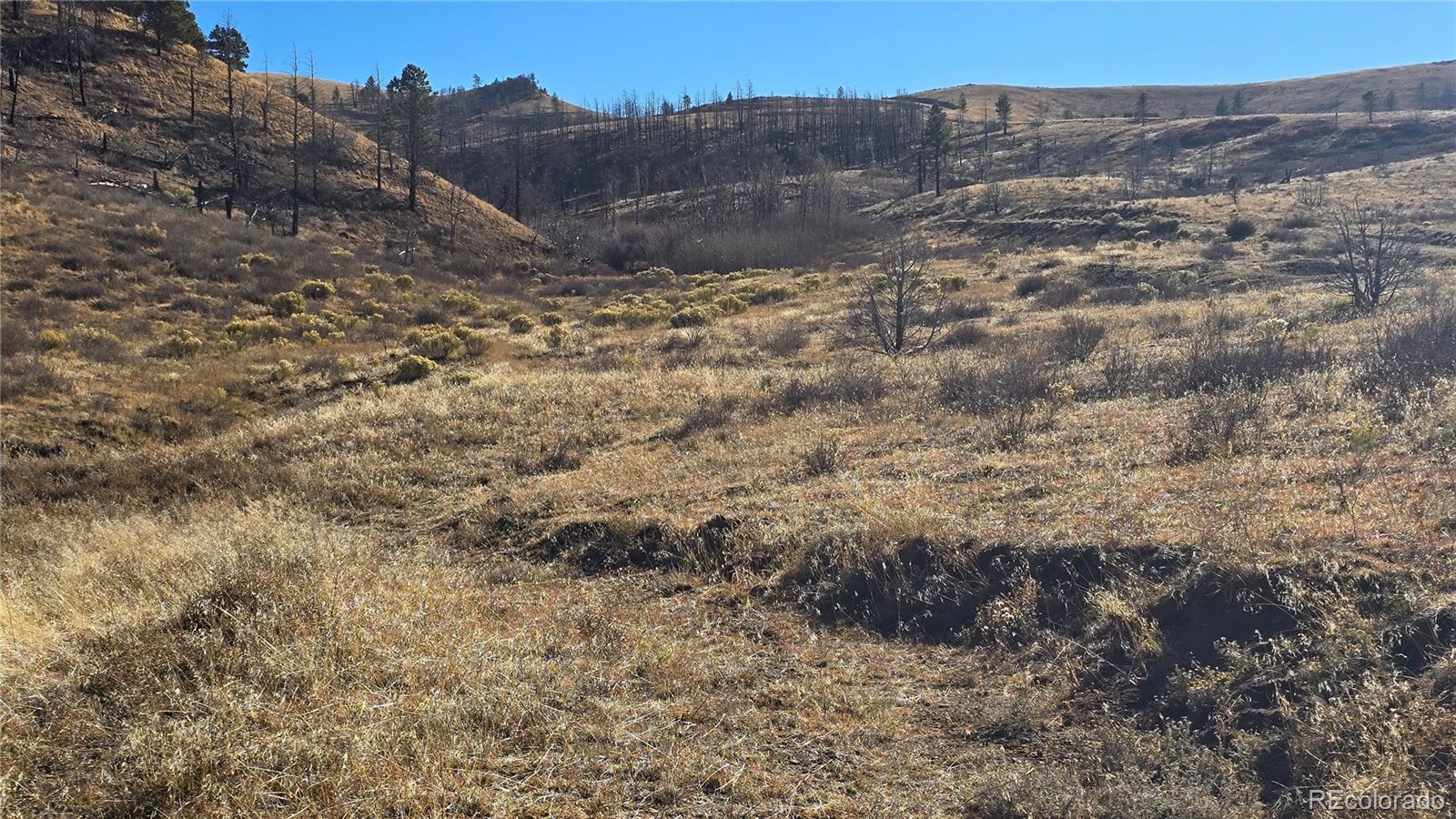 7741 Van Giesen Road
