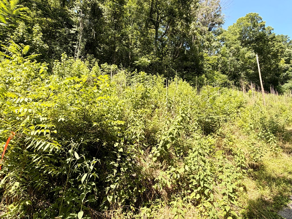 0 Silver Point Rd