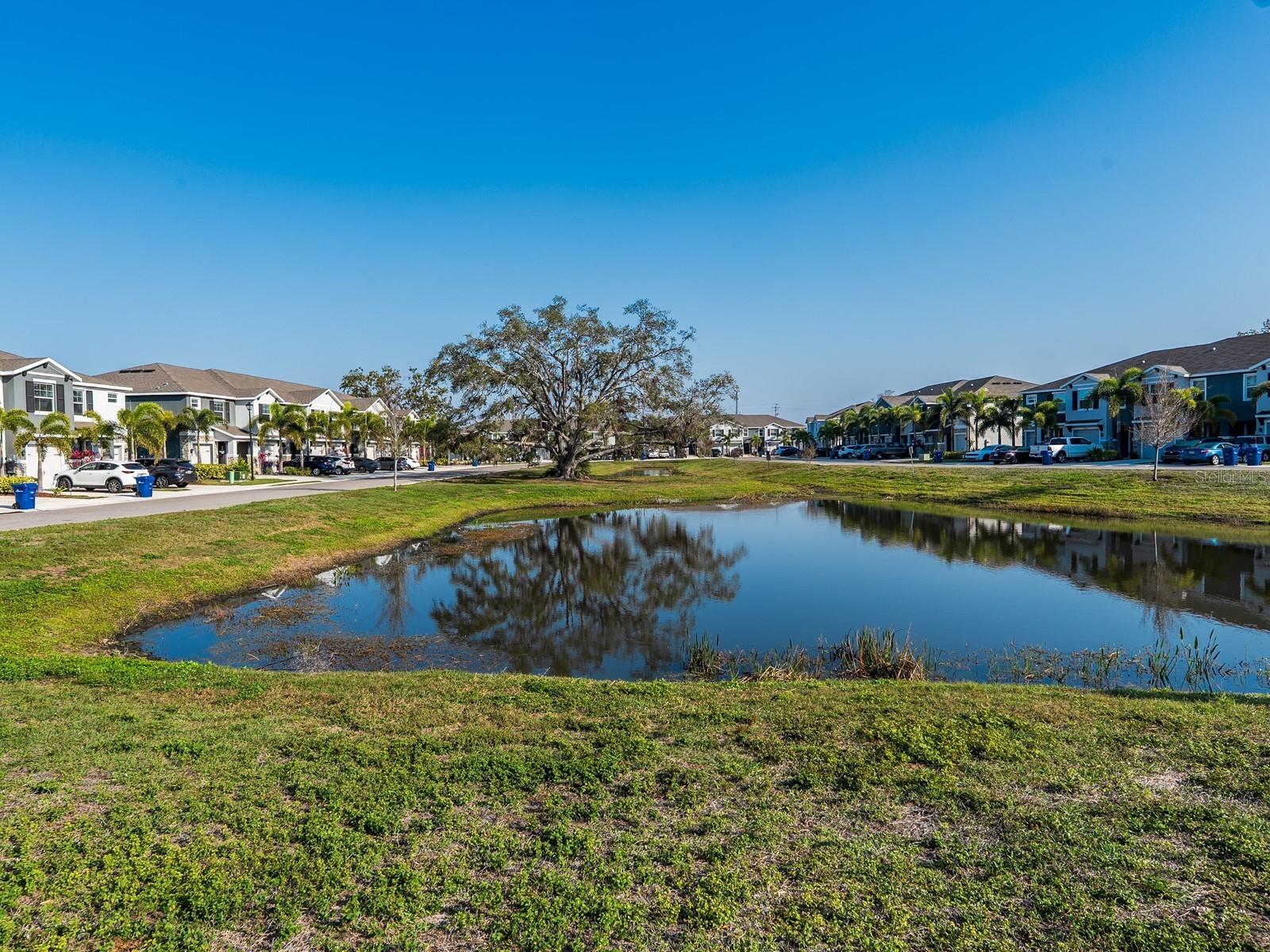 8681 Daydream Street